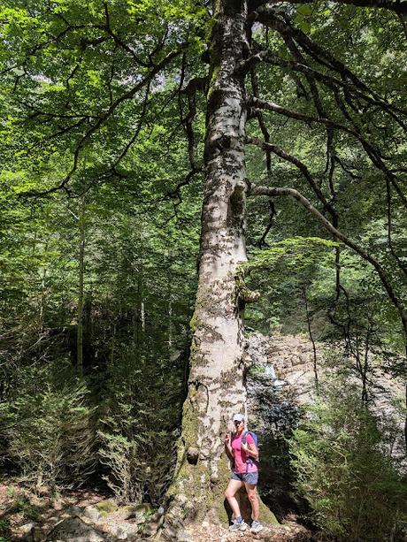 Cañon de Añisclo Cañon de Añisclo