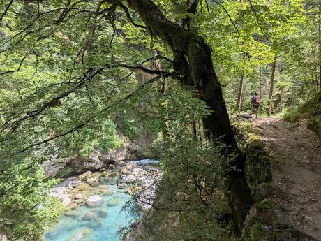 Cañon de Añisclo Cañon de Añisclo