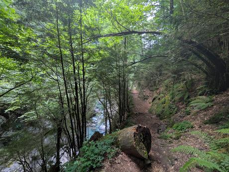 Cañon de Añisclo Cañon de Añisclo