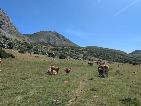 Peña Orniz y Laguna Las Verdes Peña Orniz y Laguna Las Verdes