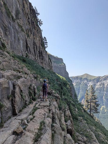 Faja de las Flores por Clavijas de Salarons y Cotatuero