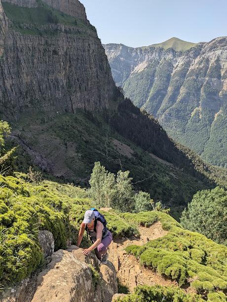 Faja de las Flores por Clavijas de Salarons y Cotatuero