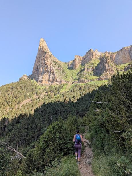 Faja de las Flores por Clavijas de Salarons y Cotatuero