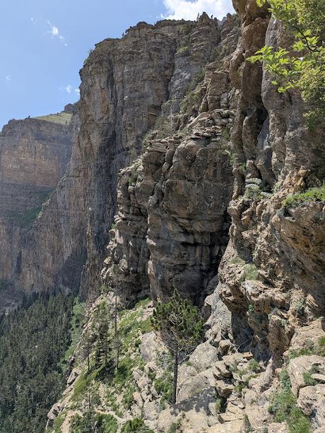 Faja de las Flores por Clavijas de Salarons y Cotatuero