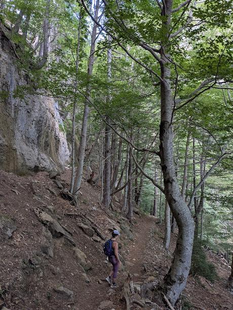 Faja de las Flores por Clavijas de Salarons y Cotatuero