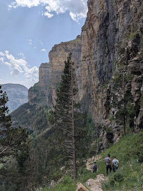 Faja de las Flores por Clavijas de Salarons y Cotatuero