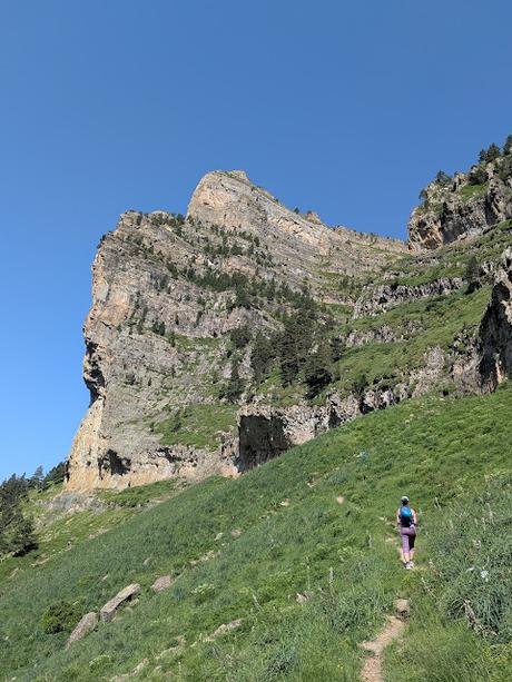 Faja de las Flores por Clavijas de Salarons y Cotatuero
