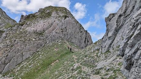 Integral al Mampodre Integral al Mampodre