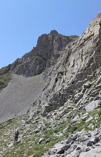 Integral al Mampodre Integral al Mampodre