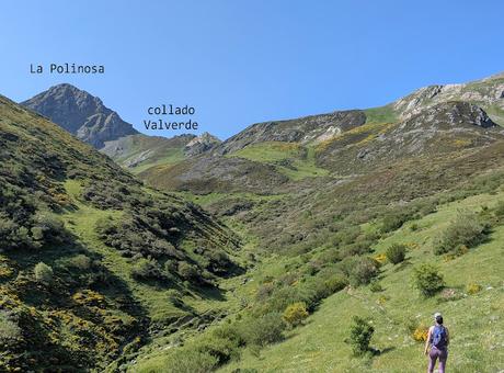 Integral al Mampodre Integral al Mampodre