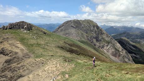 Integral al Mampodre Integral al Mampodre