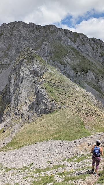 Integral al Mampodre Integral al Mampodre