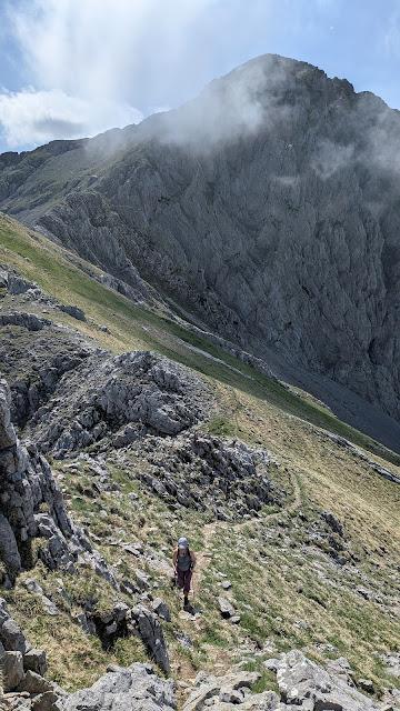 Integral al Mampodre Integral al Mampodre