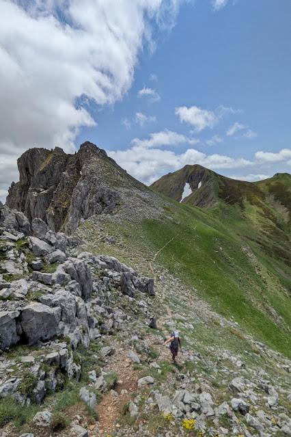 Integral al Mampodre Integral al Mampodre