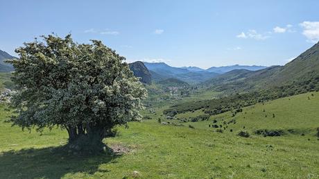 Integral al Mampodre Integral al Mampodre