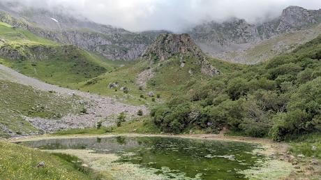 Integral al Mampodre Integral al Mampodre