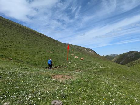 Bigaros y Muñón (Travesía de Saliencia a Torrestío) Bigaros y Muñón (Travesía de Saliencia a Torrestío)
