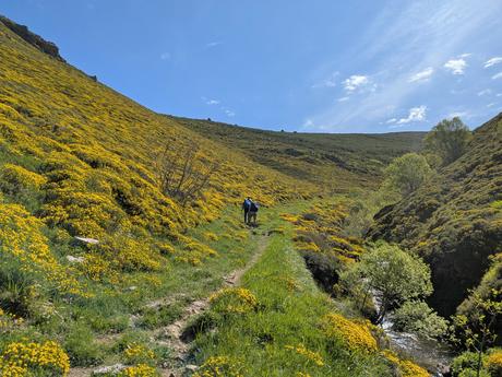 Bigaros y Muñón (Travesía de Saliencia a Torrestío) Bigaros y Muñón (Travesía de Saliencia a Torrestío)