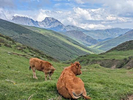 Bigaros y Muñón (Travesía de Saliencia a Torrestío) Bigaros y Muñón (Travesía de Saliencia a Torrestío)