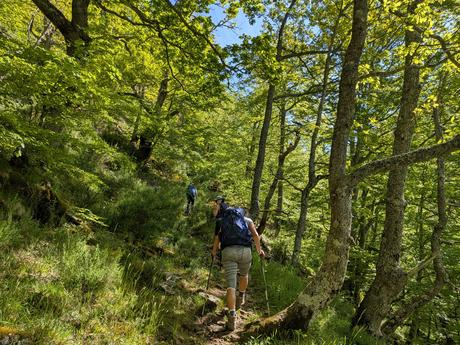 Bigaros y Muñón (Travesía de Saliencia a Torrestío) Bigaros y Muñón (Travesía de Saliencia a Torrestío)