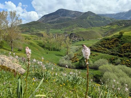 Bigaros y Muñón (Travesía de Saliencia a Torrestío) Bigaros y Muñón (Travesía de Saliencia a Torrestío)