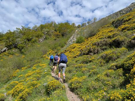 Bigaros y Muñón (Travesía de Saliencia a Torrestío) Bigaros y Muñón (Travesía de Saliencia a Torrestío)