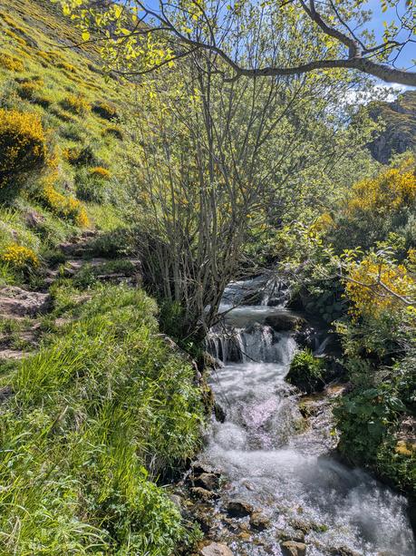 Bigaros y Muñón (Travesía de Saliencia a Torrestío) Bigaros y Muñón (Travesía de Saliencia a Torrestío)