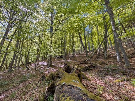 Picos Bodón y Cabañas desde Llamazares Picos Bodón y Cabañas desde Llamazares