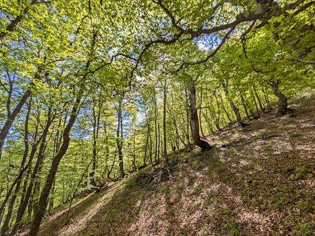 Picos Bodón y Cabañas desde Llamazares Picos Bodón y Cabañas desde Llamazares