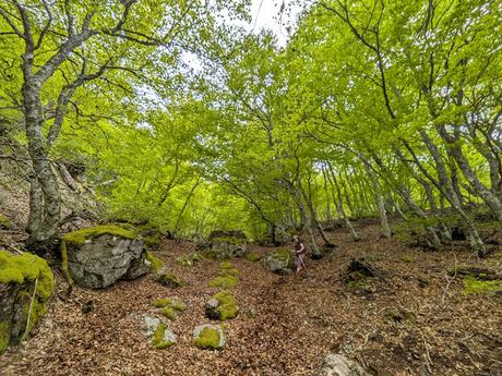 Picos Bodón y Cabañas desde Llamazares Picos Bodón y Cabañas desde Llamazares