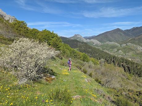 Picos Bodón y Cabañas desde Llamazares Picos Bodón y Cabañas desde Llamazares