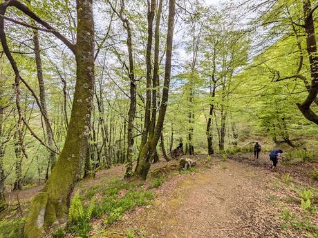 Pico Guanalón desde Soto de Agues Pico Guanalón desde Soto de Agues