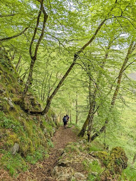 Pico Guanalón desde Soto de Agues Pico Guanalón desde Soto de Agues