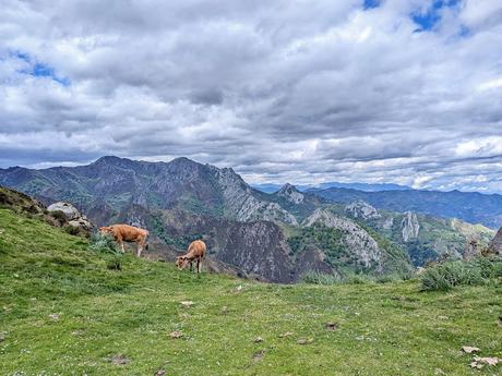Pico Guanalón desde Soto de Agues Pico Guanalón desde Soto de Agues