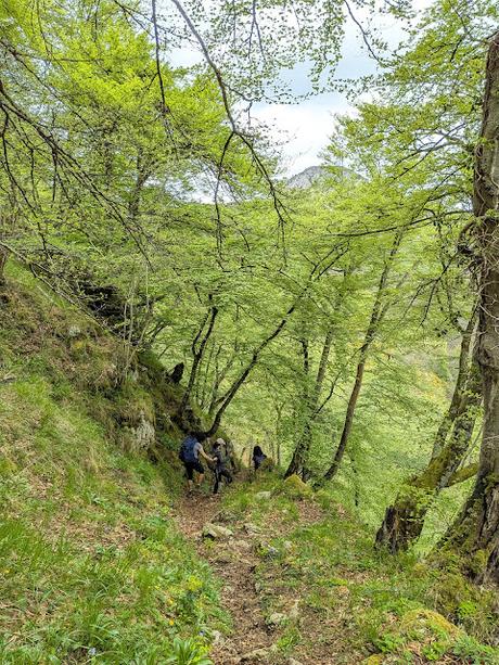 Pico Guanalón desde Soto de Agues Pico Guanalón desde Soto de Agues