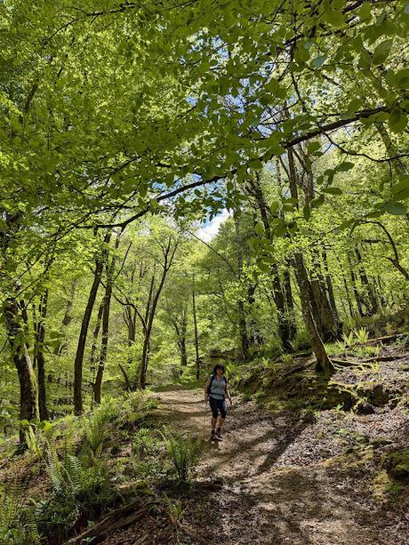 Pico Guanalón desde Soto de Agues Pico Guanalón desde Soto de Agues