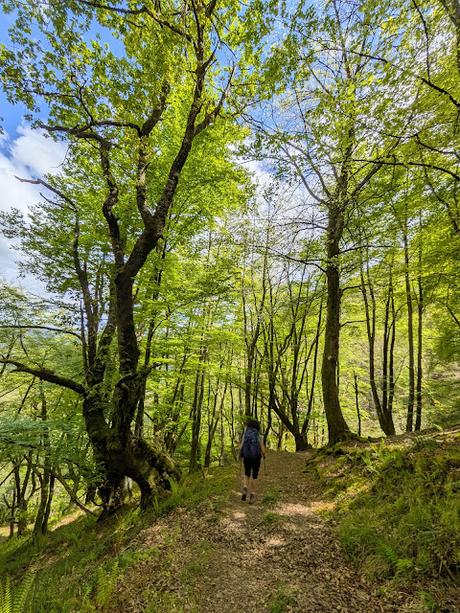 Pico Guanalón desde Soto de Agues Pico Guanalón desde Soto de Agues