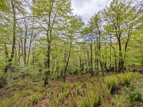 Pico Guanalón desde Soto de Agues Pico Guanalón desde Soto de Agues