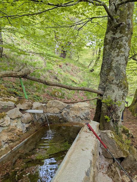 Pico Guanalón desde Soto de Agues Pico Guanalón desde Soto de Agues
