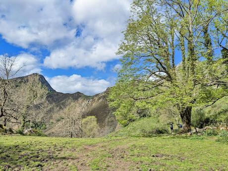 Pico Guanalón desde Soto de Agues Pico Guanalón desde Soto de Agues