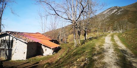 Pico Faceo desde Tozu Pico Faceo desde Tozu