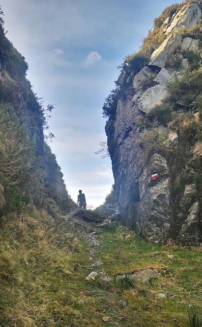 Pico Faceo desde Tozu Pico Faceo desde Tozu