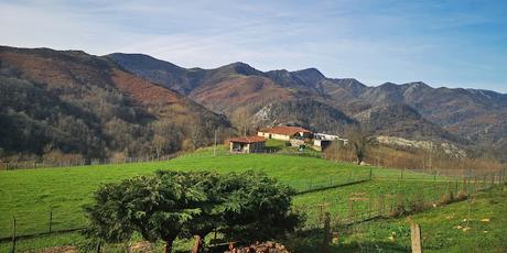 Pico Faceo desde Tozu Pico Faceo desde Tozu