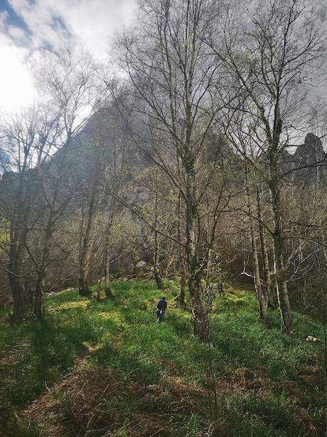 De S.Esteban de Cuñaba a Urdón:  Pasá Picayo y Camino de la Peña.