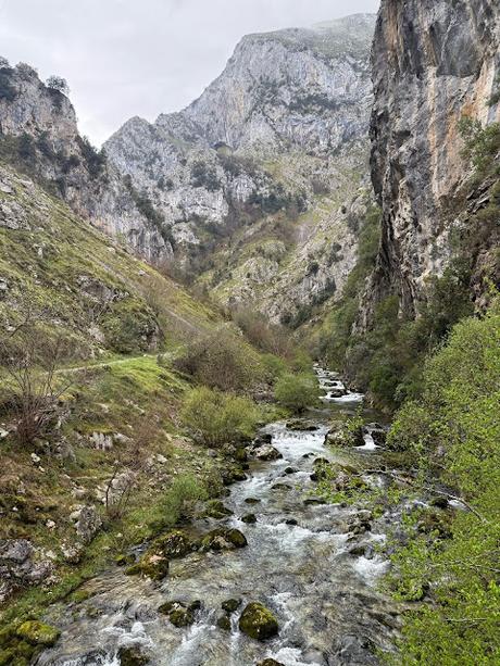 De S.Esteban de Cuñaba a Urdón:  Pasá Picayo y Camino de la Peña.