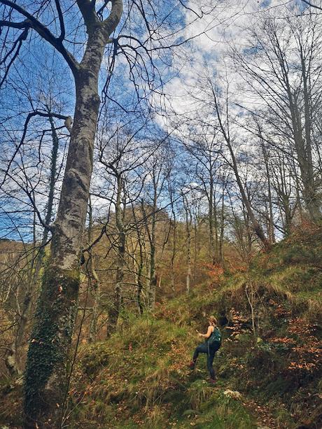 De S.Esteban de Cuñaba a Urdón:  Pasá Picayo y Camino de la Peña.