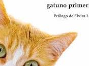 casa entra gato avería