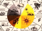 ¿Por qué, bajo influencia Císter, templarios unieron maestros cabalistas Borgoña Toledo para traducir textos como enigmático Libro Débora?