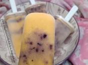 Sucettes glacées mangue bleuets mango blueberry popsicles paletas heladas arándanos مصاصات المانجو التوت الأزرق المجمدة