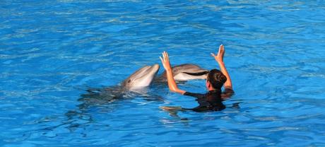 5 actividades que hacer en Tenerife en familia 5 actividades que hacer en Tenerife en familia